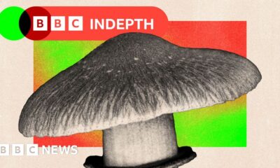 Should the NHS use magic mushrooms to treat mental health?