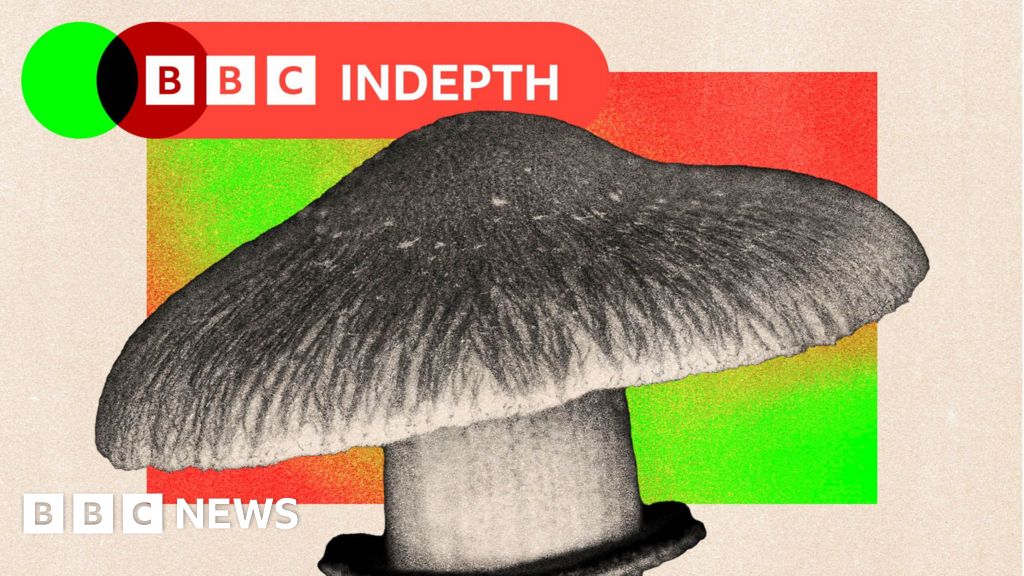 Should the NHS use magic mushrooms to treat mental health?