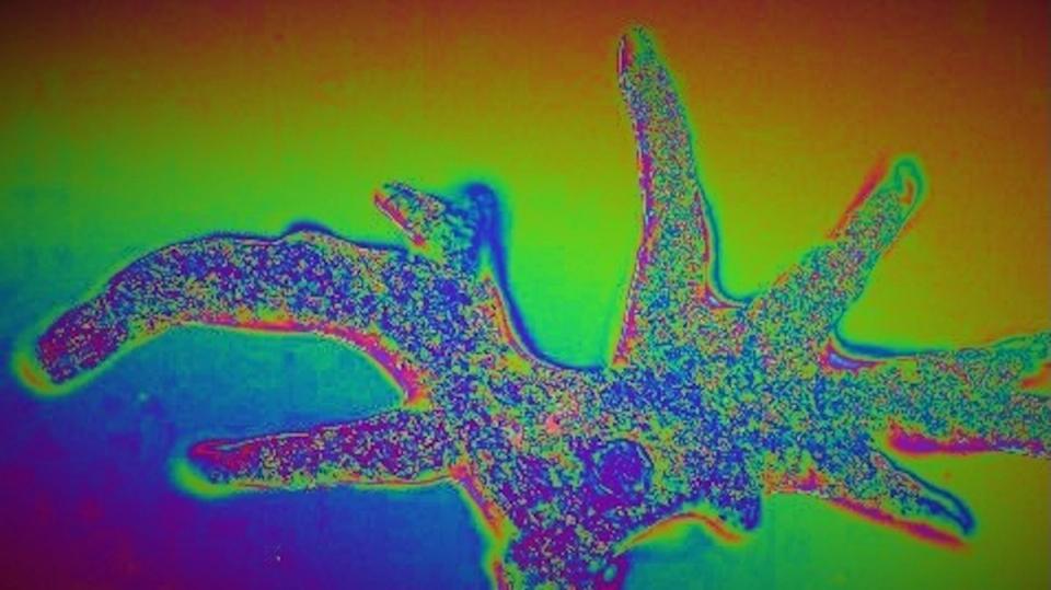 Ethereum bumps blob capacity as it gears for Fusaka upgrade