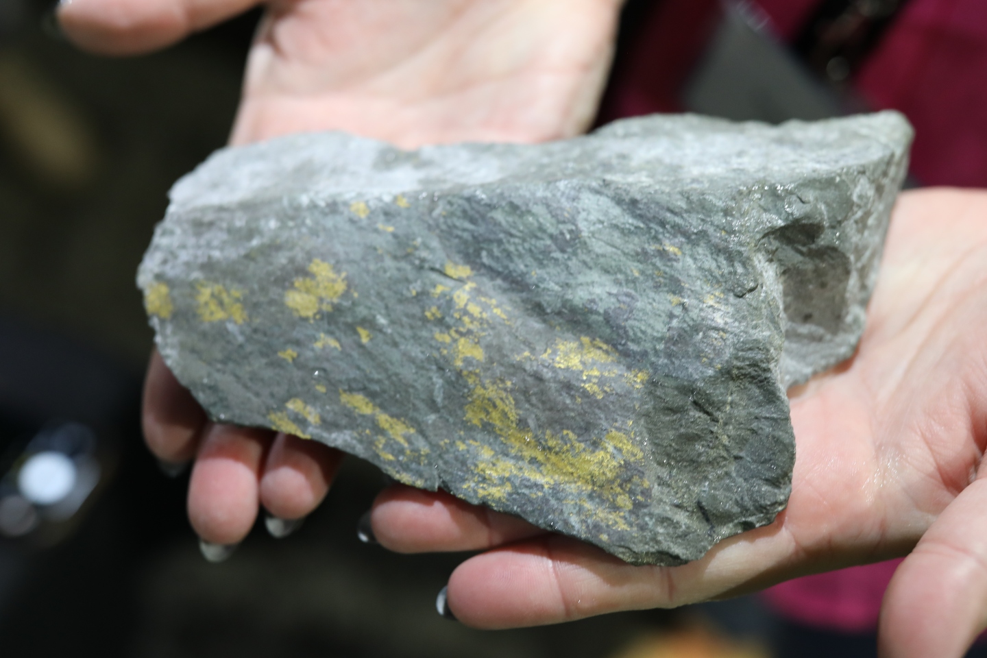 Mining services group SSH increases revenue significantly