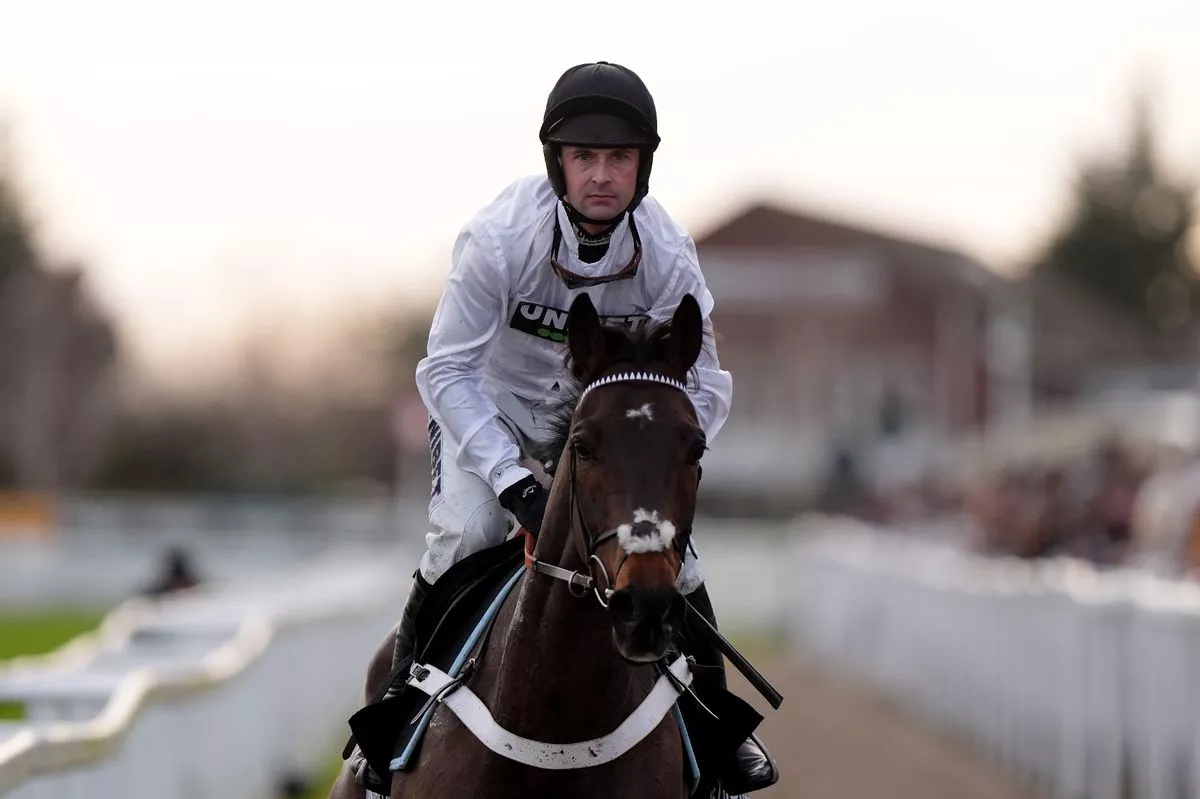 Constitution Hill: heading to Southwell to run on the Flat