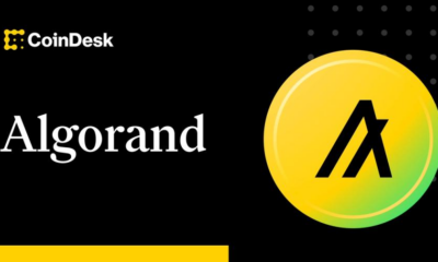 Algorand Foundation returns to U.S. amid friendlier crypto regulation under Trump