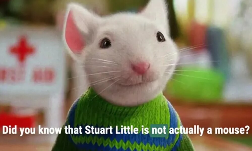 Hold up, Stuart Little isn't a mouse?