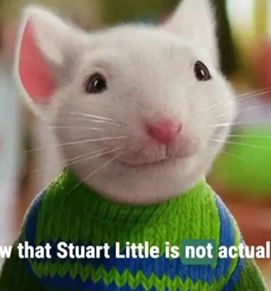 Hold up, Stuart Little isn't a mouse?