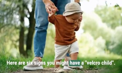 Do you have a "velcro child"?