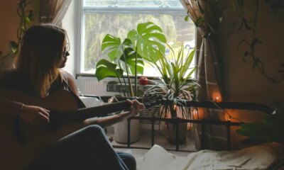Do Plants Really Purify The Air In Your Bedroom?