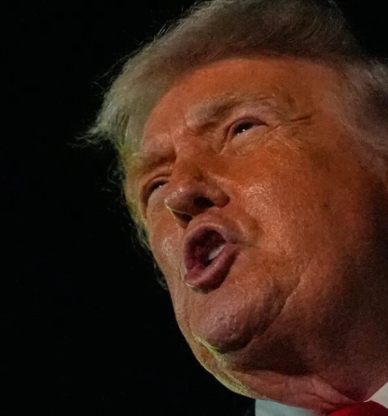 Danish Pol Hits 'Mad And Erratic' Trump With 1 Damning Question