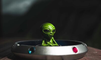 Are Aliens Actually Real? Scientists Say It's Possible.