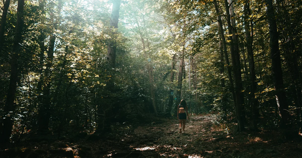 Birdsong Could Make Walks Healthier, But Only This Kind