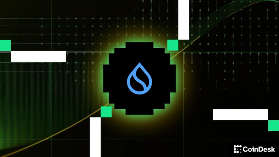 Sui Group (SUIG) charts new course for crypto treasuries with stablecoins and DeFi