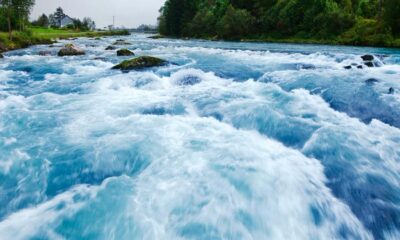 U.S. spot bitcoin ETFs pull in $750 million in strongest day since October