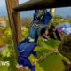Why are more gamers than ever playing the 2000s classic RuneScape?