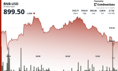 BNB falls below $900 even after network upgrade, ecosystem developments as market declines