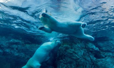 BTC hits fresh 2026 low as day's plunge continues