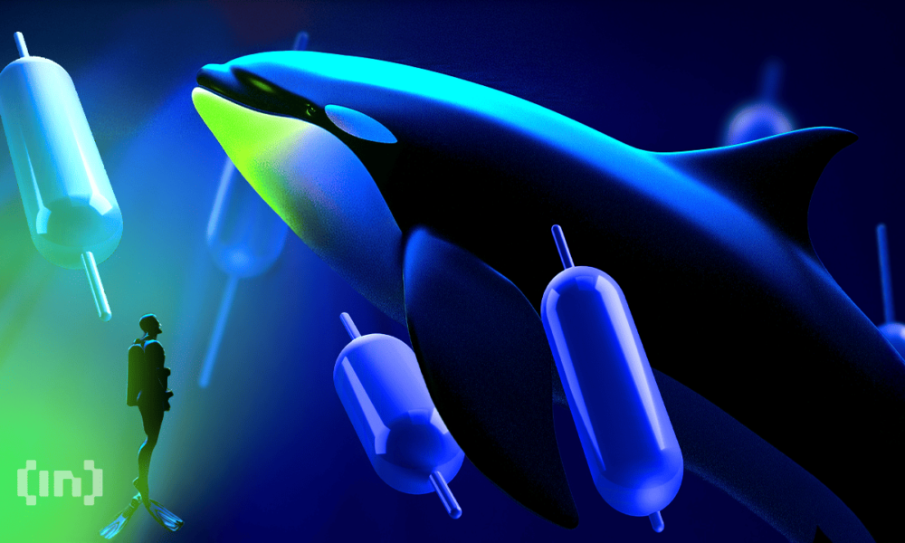 XMR Price and XMR Dominance.Source: TradingView