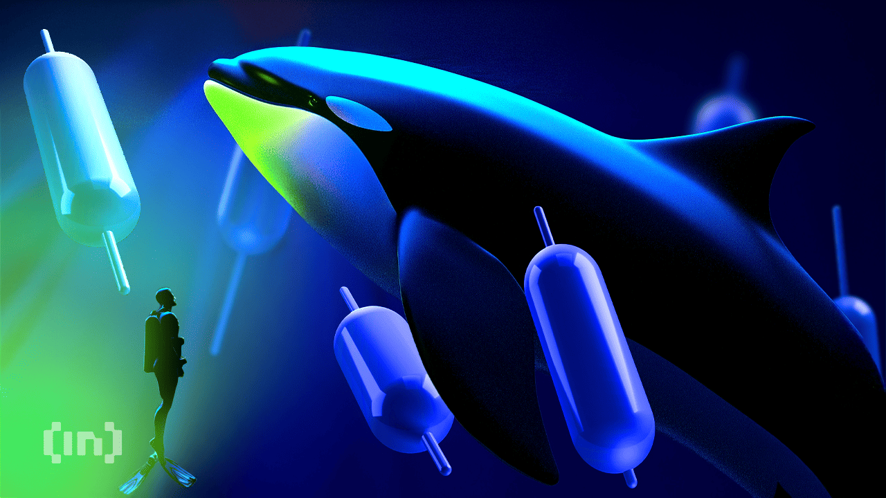 XMR Price and XMR Dominance.Source: TradingView