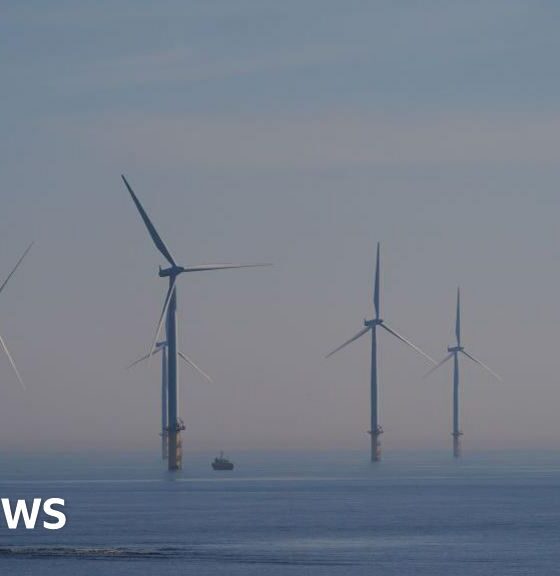 UK secures record supply of offshore wind but price rises