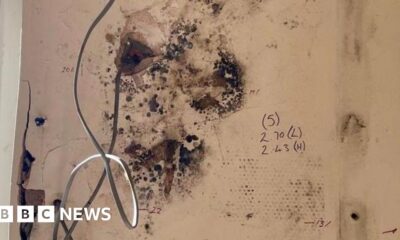 Thousands at risk in unsafe homes after failed insulation schemes