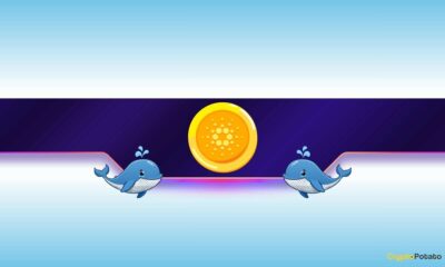 Is Cardano's Price on the Verge of a Rally?