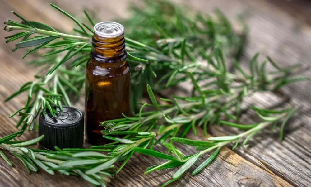 CoreFX evolves into science-backed nutraceutical ingredient supplier