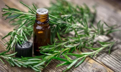 CoreFX evolves into science-backed nutraceutical ingredient supplier