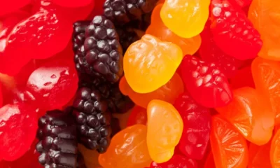 Foodberry, Bel US partnership developing new snack innovations