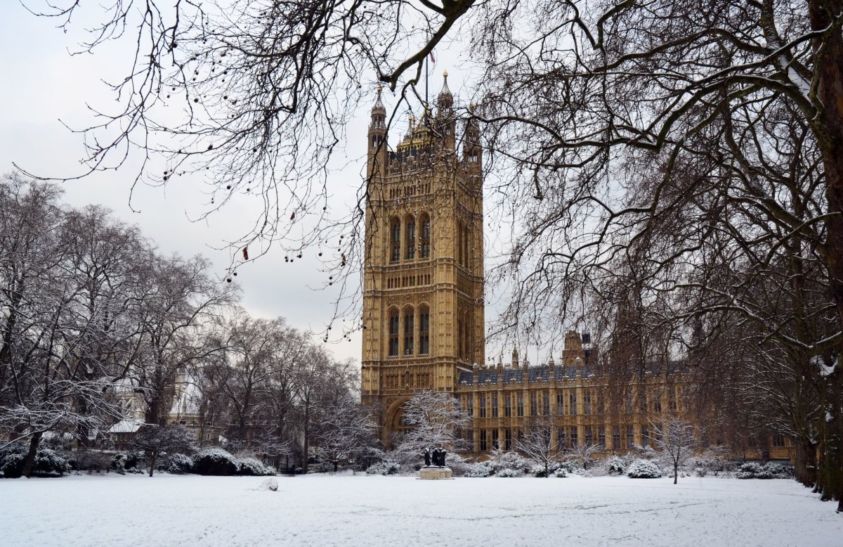 Winter 2025 edition of Order! Order! magazine published