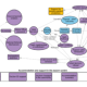 Fig 1: Data Visualisation Map of Asylum System (NAO, 2025).
