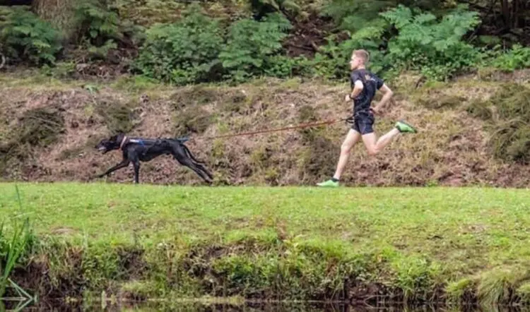 The A to Z of how to escape a running rut?