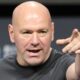 Dana White u-turns on working with boxing's major sanctioning bodies