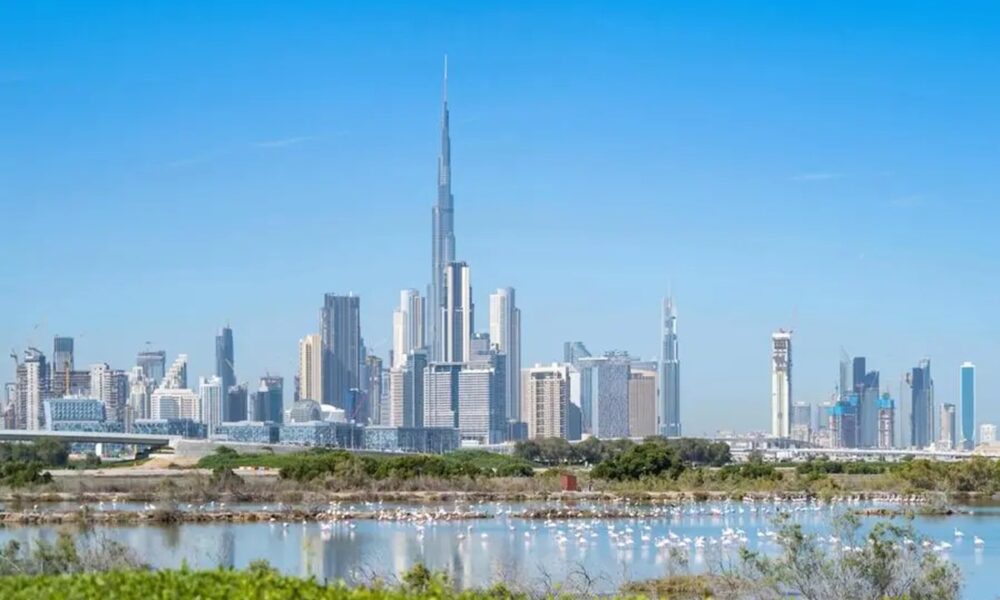 Dubai wellness real estate amaal