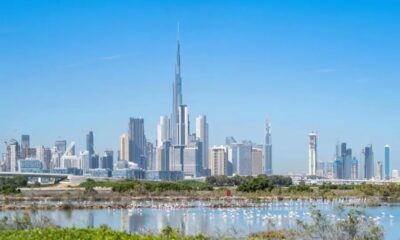 Dubai wellness real estate amaal