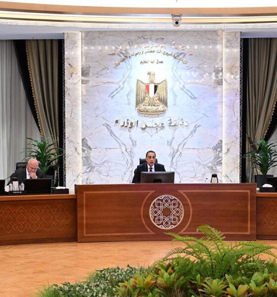 Egypt begins green hydrogen production