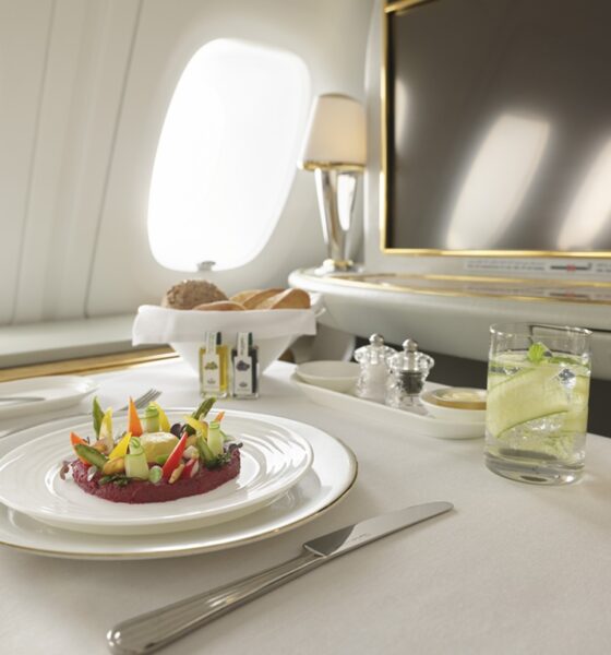 Emirates vegan meals