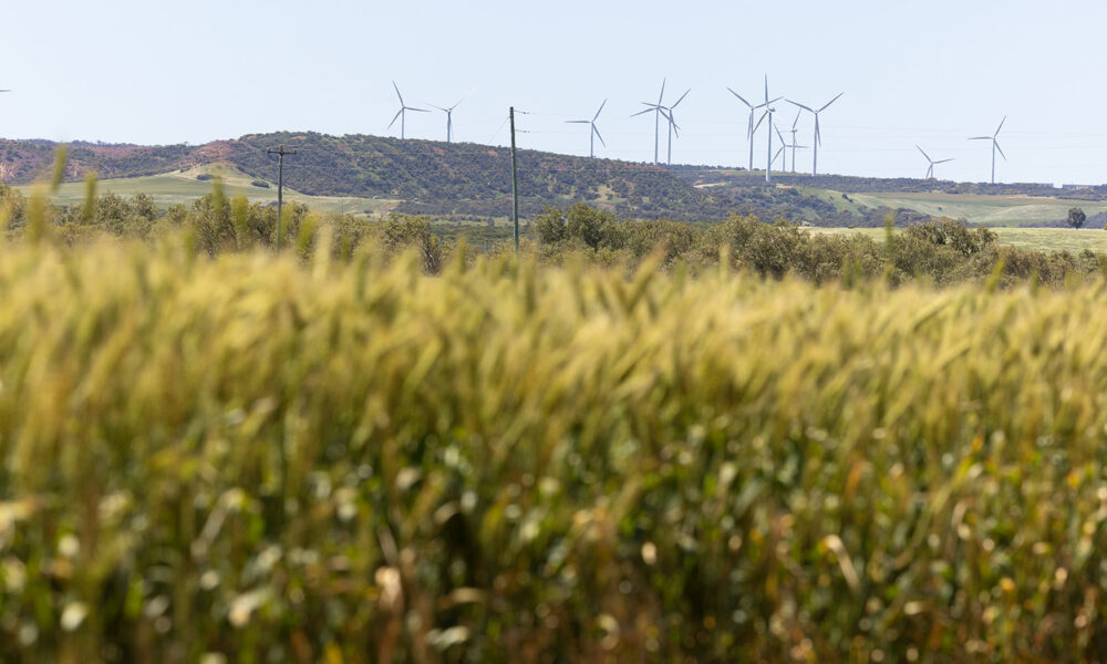 BP shifts land for 14GW Mid West green energy project