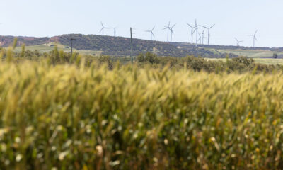 BP shifts land for 14GW Mid West green energy project