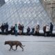 Louvre significantly increases admission prices with new ticketing system
