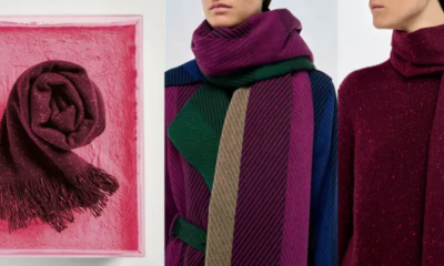 The Luxurious Gabriela Hearst Illumina Fringe Scarf