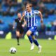‘Powerful. Physical. Fantastic’: Exciting Sheffield Wednesday verdict over Svante Ingelsson after reported Portsmouth bid