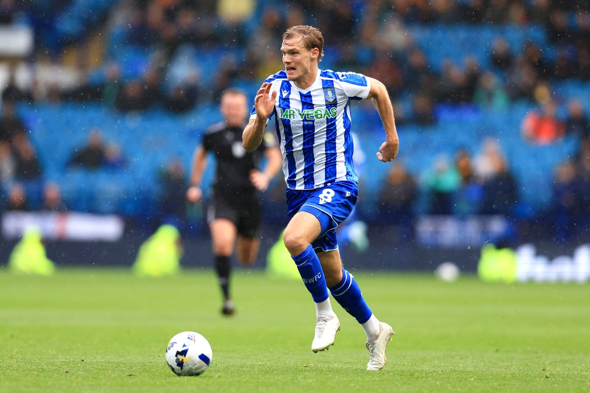 ‘Powerful. Physical. Fantastic’: Exciting Sheffield Wednesday verdict over Svante Ingelsson after reported Portsmouth bid