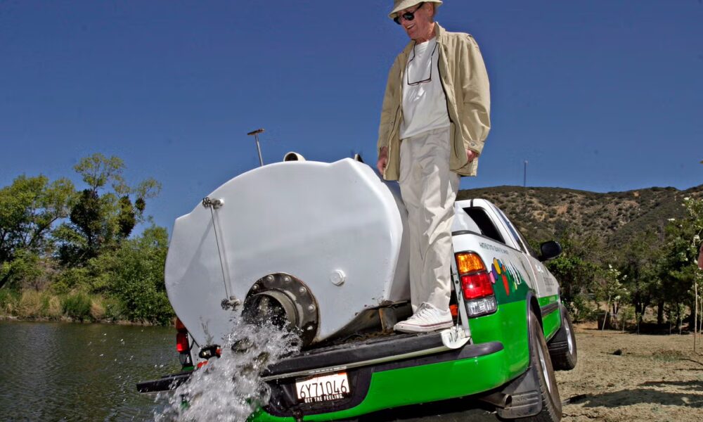 Former CEO of Paul Newman’s camp for sick kids charged with embezzling $5.2m