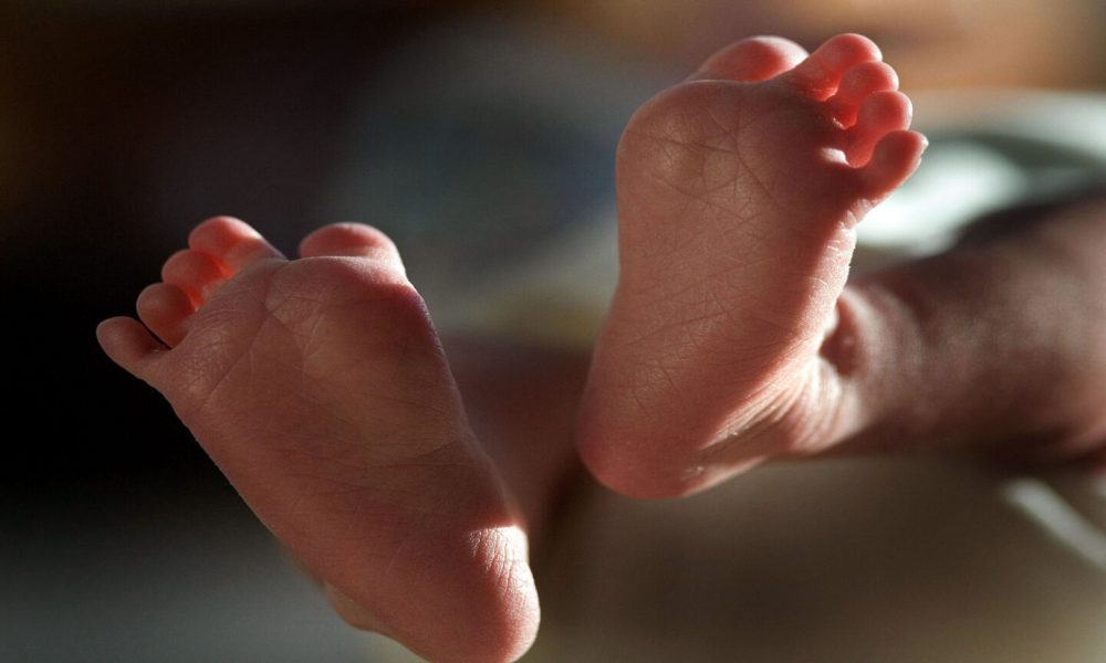 Why is the NHS registering babies as ‘theybies’?