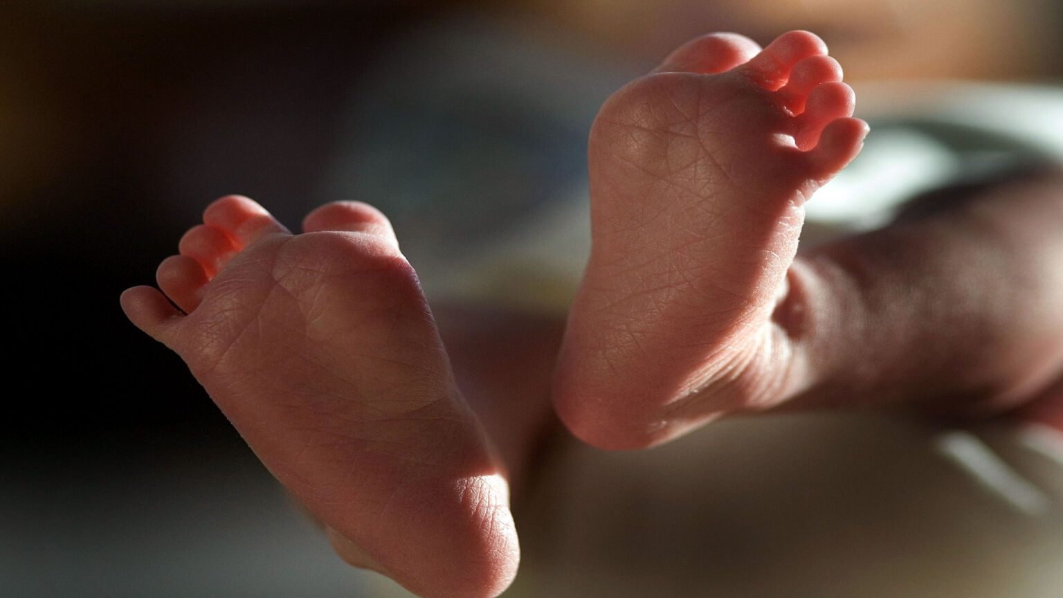 Why is the NHS registering babies as ‘theybies’?