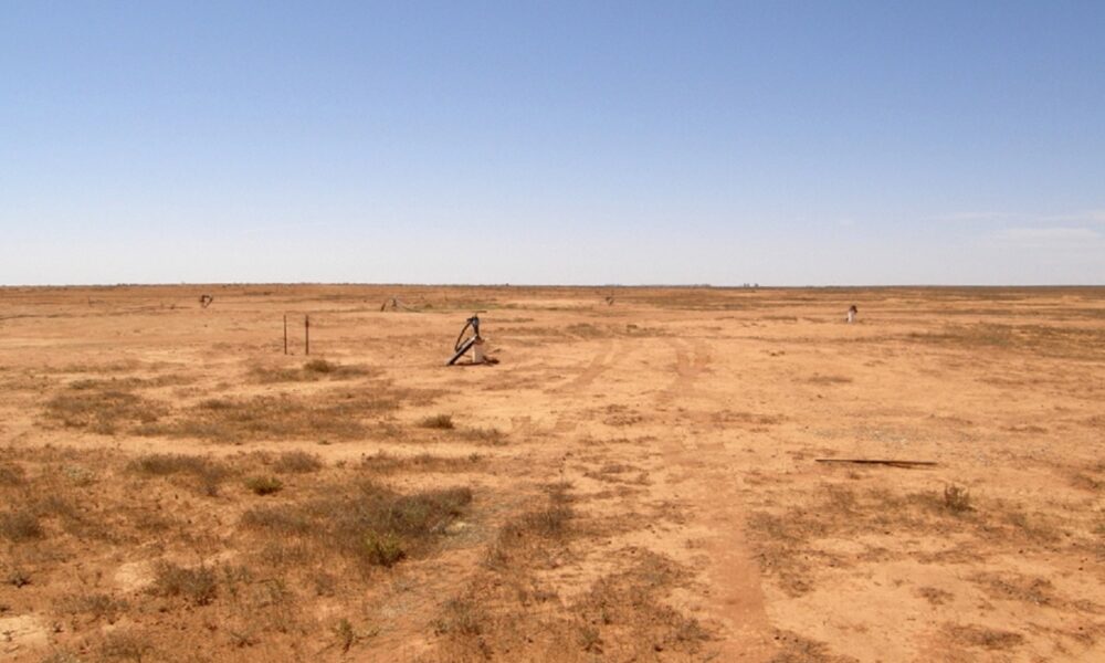 Boss chair announces departure