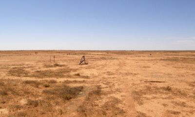 Boss chair announces departure