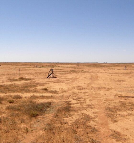 Boss chair announces departure