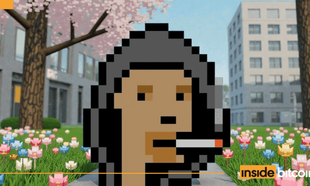 Hoodie Punks NFT collection_optimized