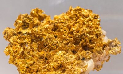 Spot gold rises more than 1% to hit all-time high at $4,563.61