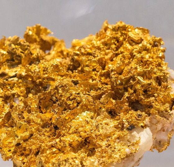 Spot gold rises more than 1% to hit all-time high at $4,563.61