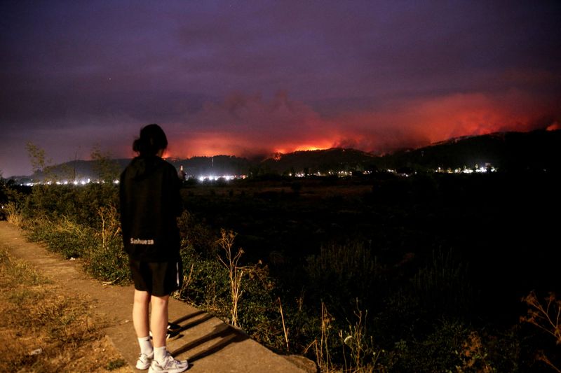 Chile wildfires kill 19 amid extreme heat; scores evacuated